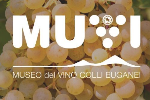 https://www.collieuganeidoc.com/muvi-museo-del-vino-dei-colli-euganei